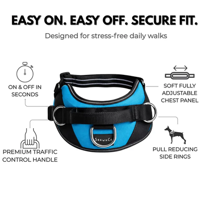 No Pull Dog Harness Bundle Pack with Leash, Adjustable Pet Vest Harness Set