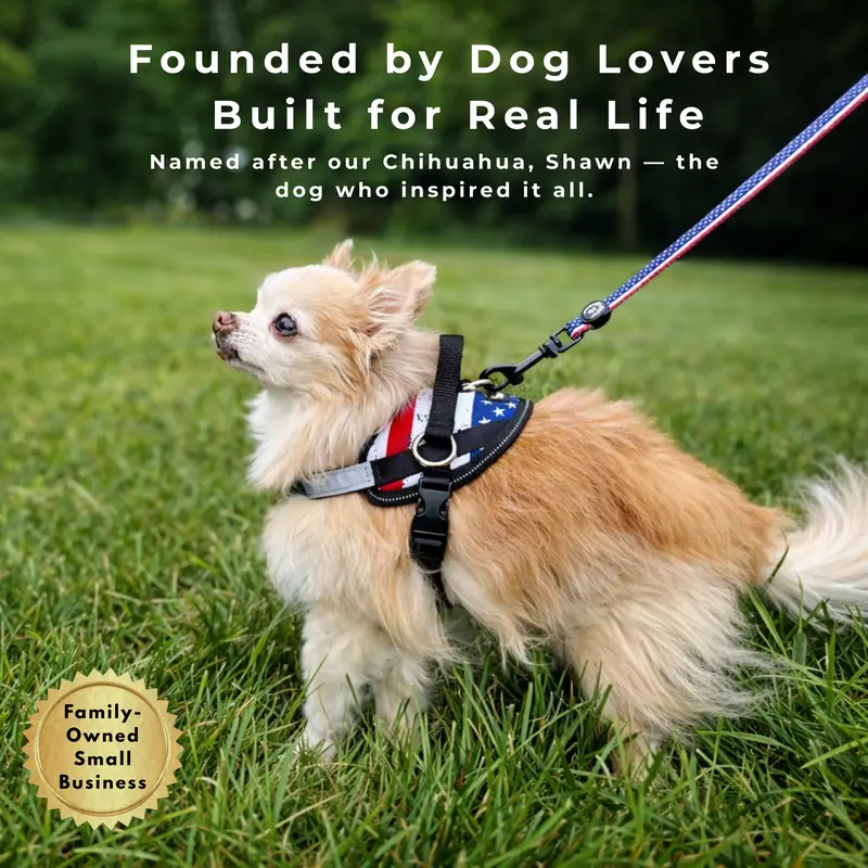 No Pull Dog Harness Bundle Pack with Leash, Adjustable Pet Vest Harness Set