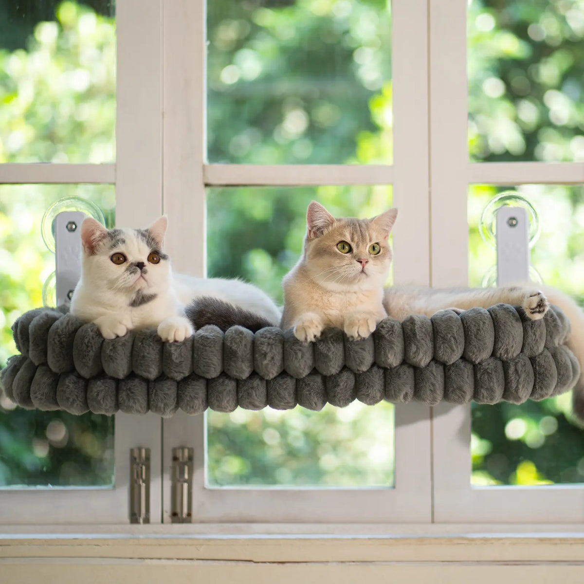 Foldable Window Cats-View Hammock