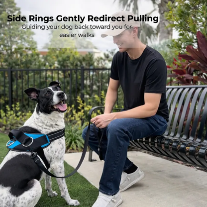 No Pull Dog Harness Bundle Pack with Leash, Adjustable Pet Vest Harness Set